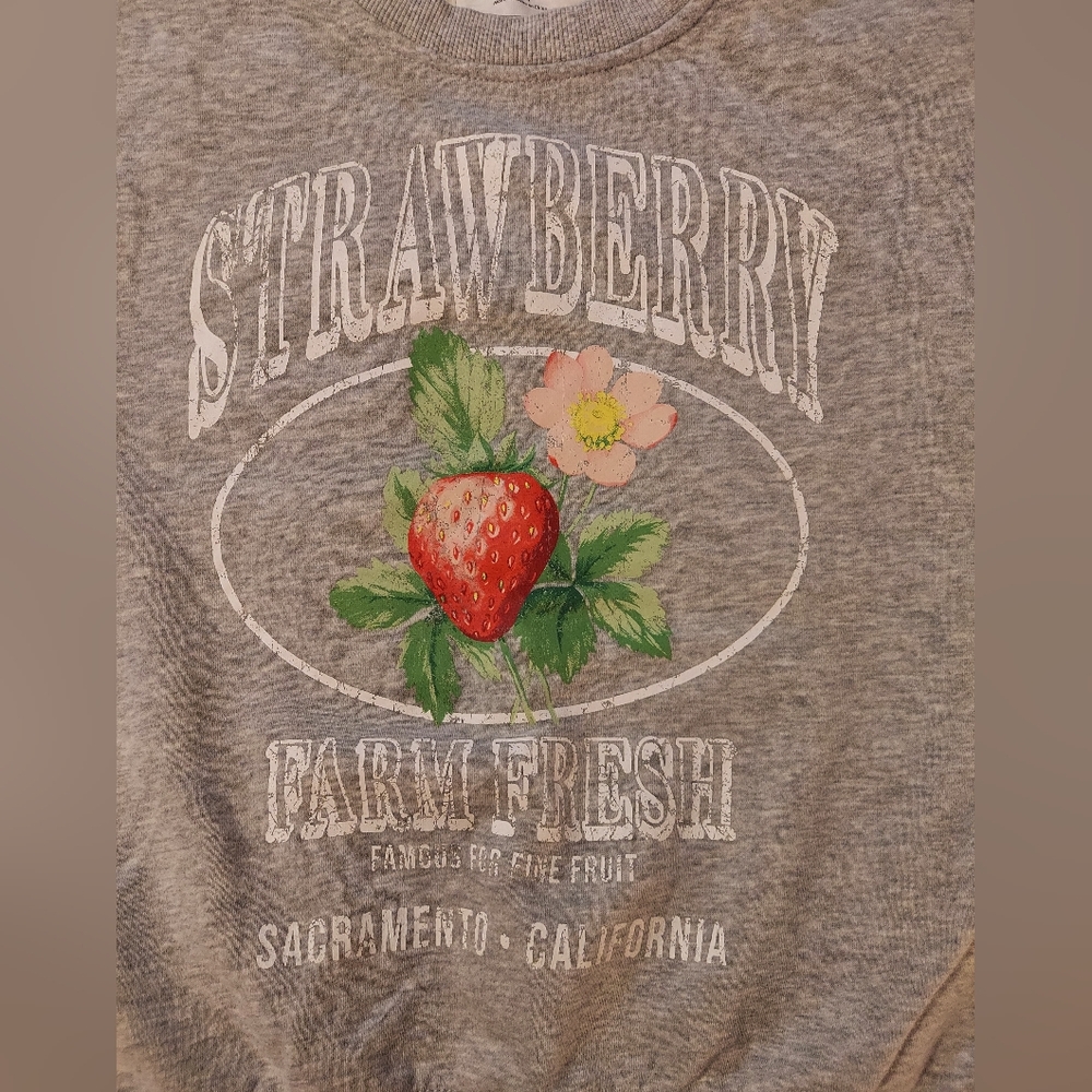 No Boundaries Heather Gray Boxy Cropped Strawberry Graphic Sweatshirt - Picture 7 of 7